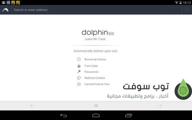 Dolphin Zero