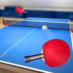 تحميل لعبة تنس الطاولة Table Tennis Touch للأندرويد