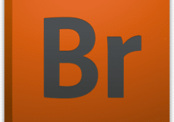 تحميل برنامج Adobe Bridge CC 2024 14.1.1 أدوبى بريدج لتنظيم وإدارة الملفات المتنوعة