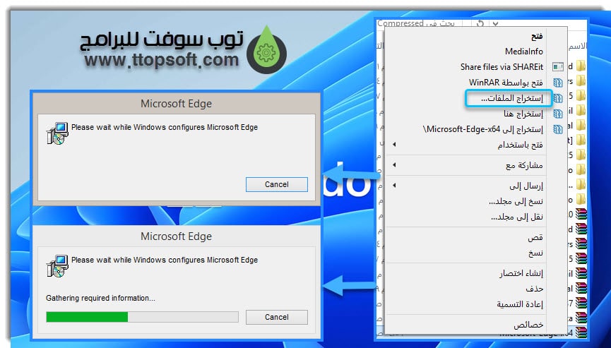 Microsoft Edge Offline Installer