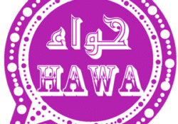 تحميل واتس اب حواء البنفسجي HawaWhatsApp Violet للبنات 2021