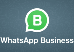 تحميل واتساب بيزنس للاعمال 2024 WhatsApp Business APK