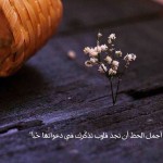 حالات واتس