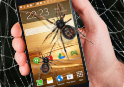 تطبيق عنكبوت على شاشة هاتف الأندرويد  Spider in phone funny joke
